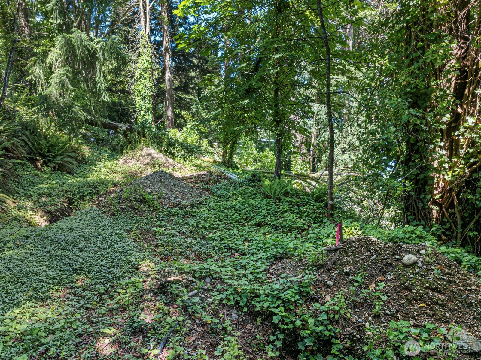 14447 Crescent Valley Road Property Photo 5