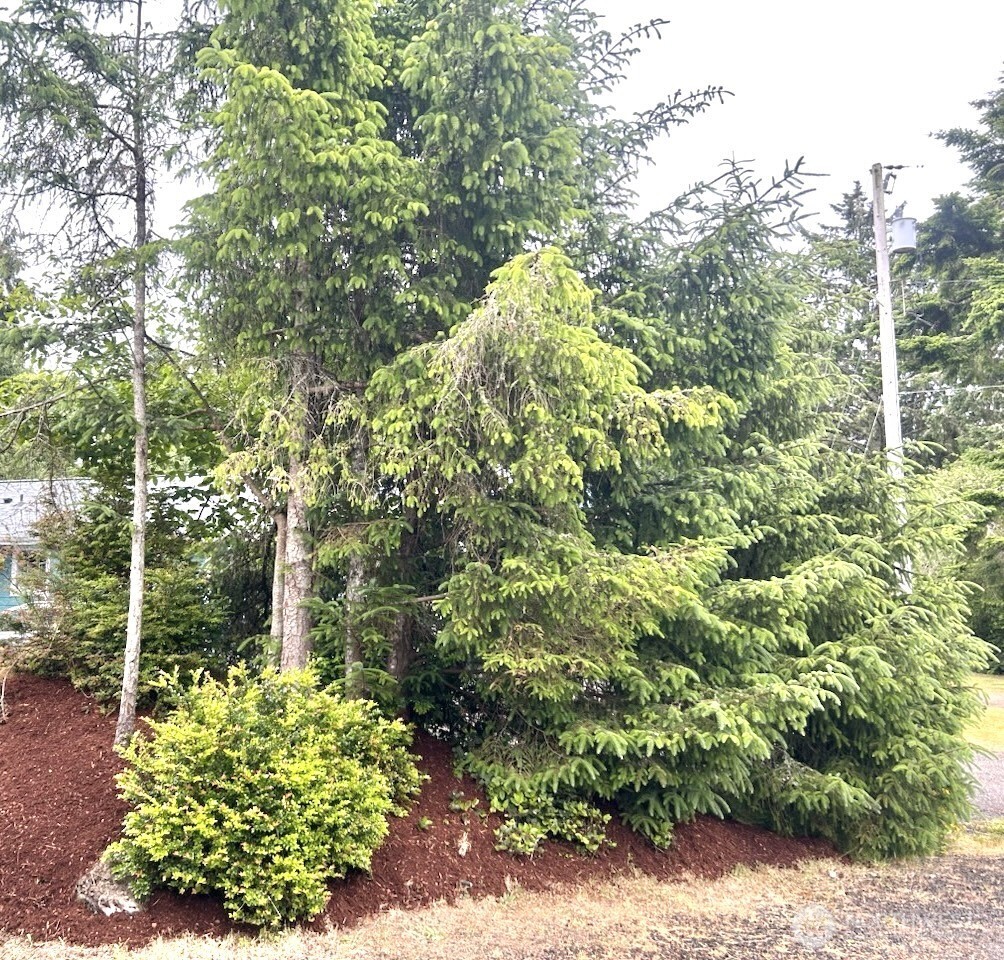 708 Eider Court Property Photo 29