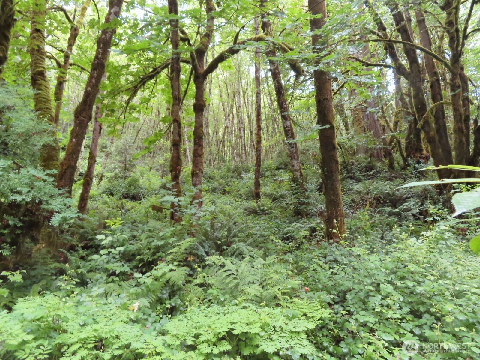 0 Xxx Sylvan Way Property Photo 1