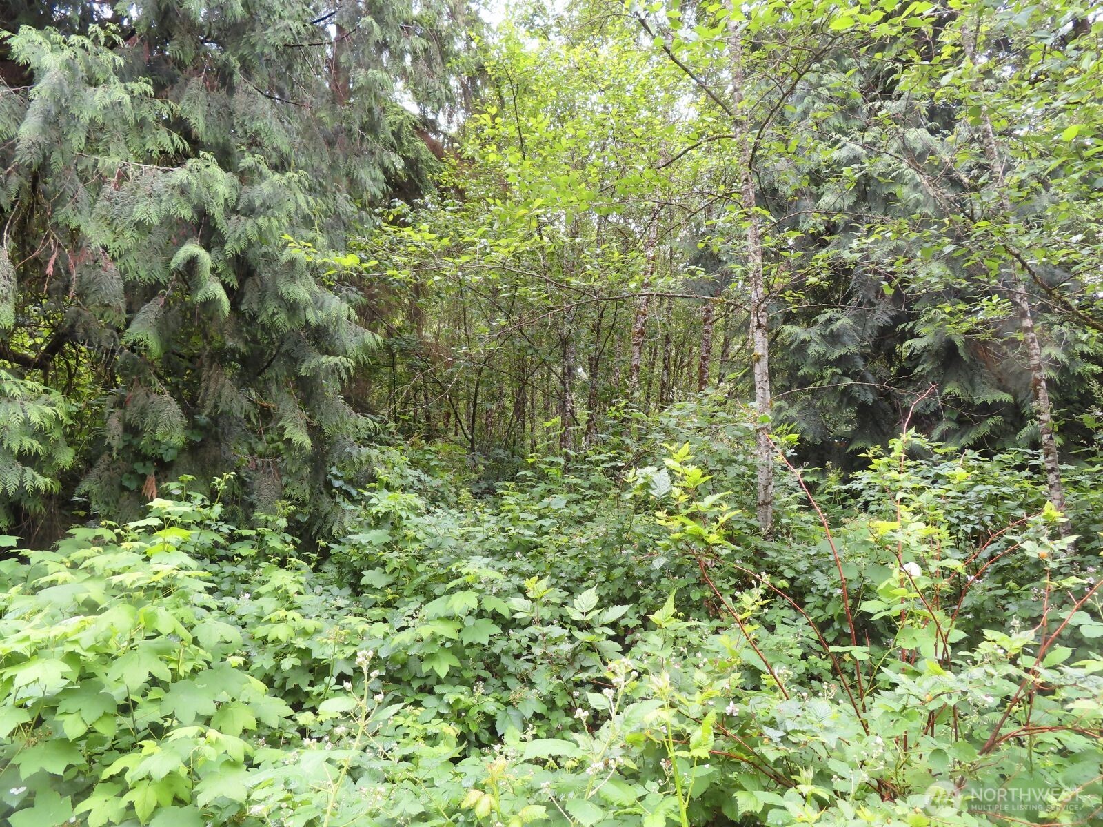 0 Xxx Sylvan Way Property Photo 3