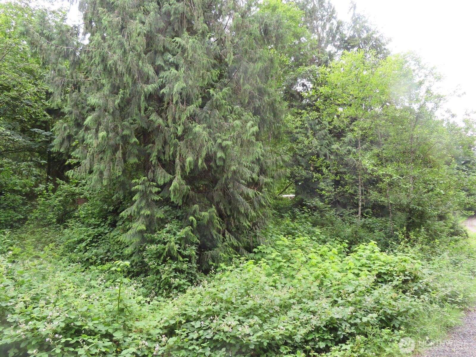 0 Xxx Sylvan Way Property Photo 6