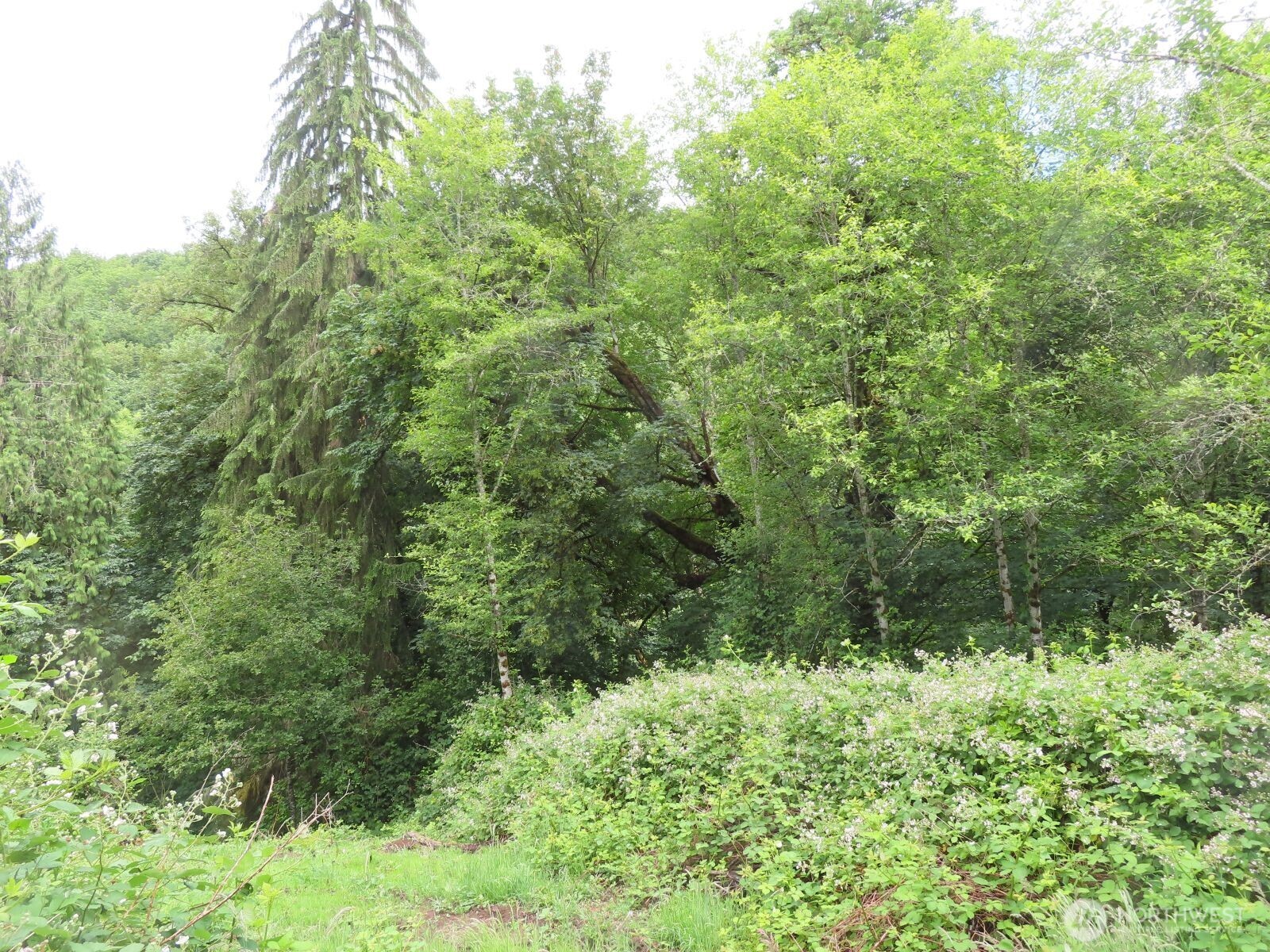0 Xxx Sylvan Way Property Photo 7