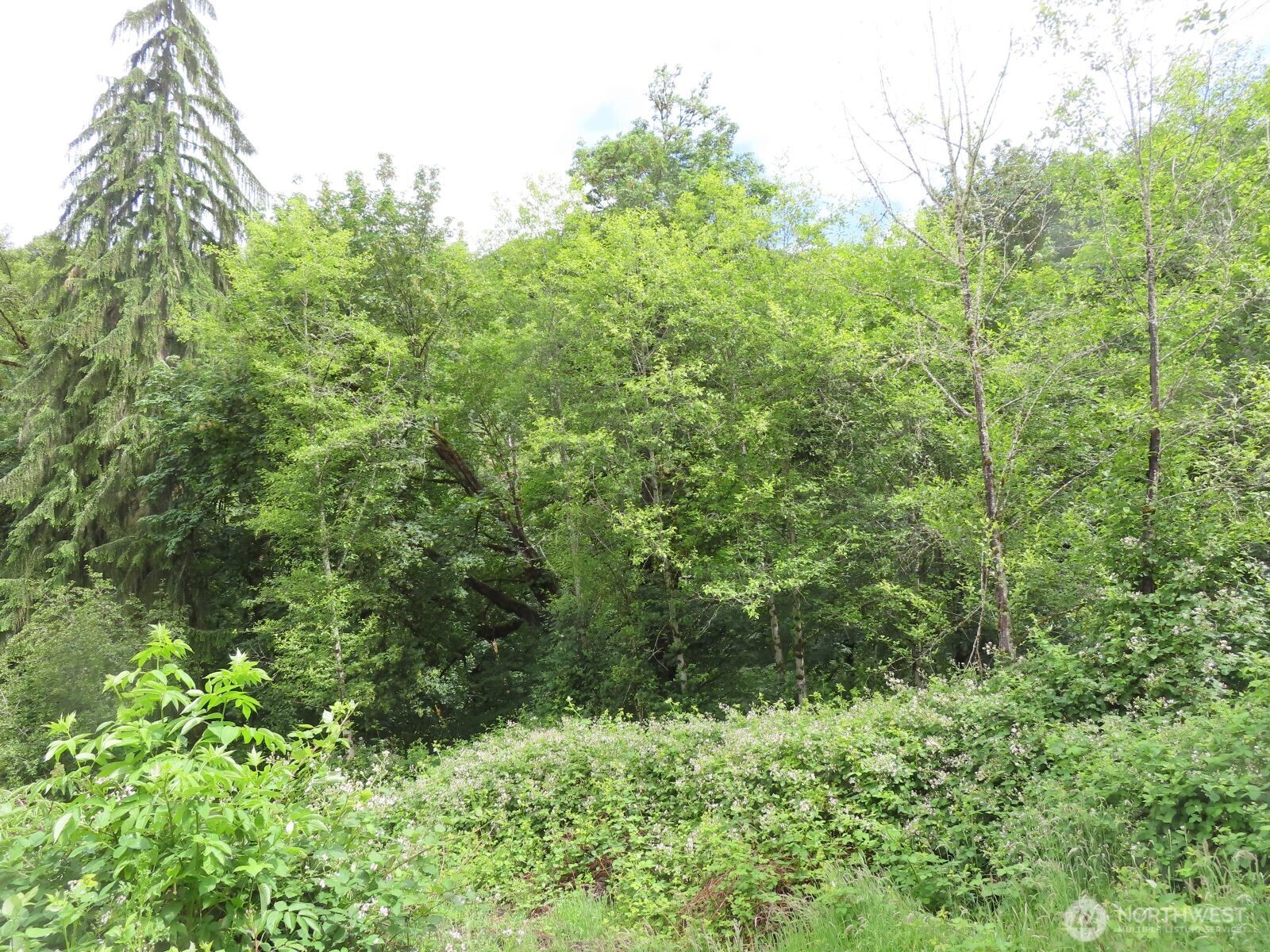 0 Xxx Sylvan Way Property Photo 9
