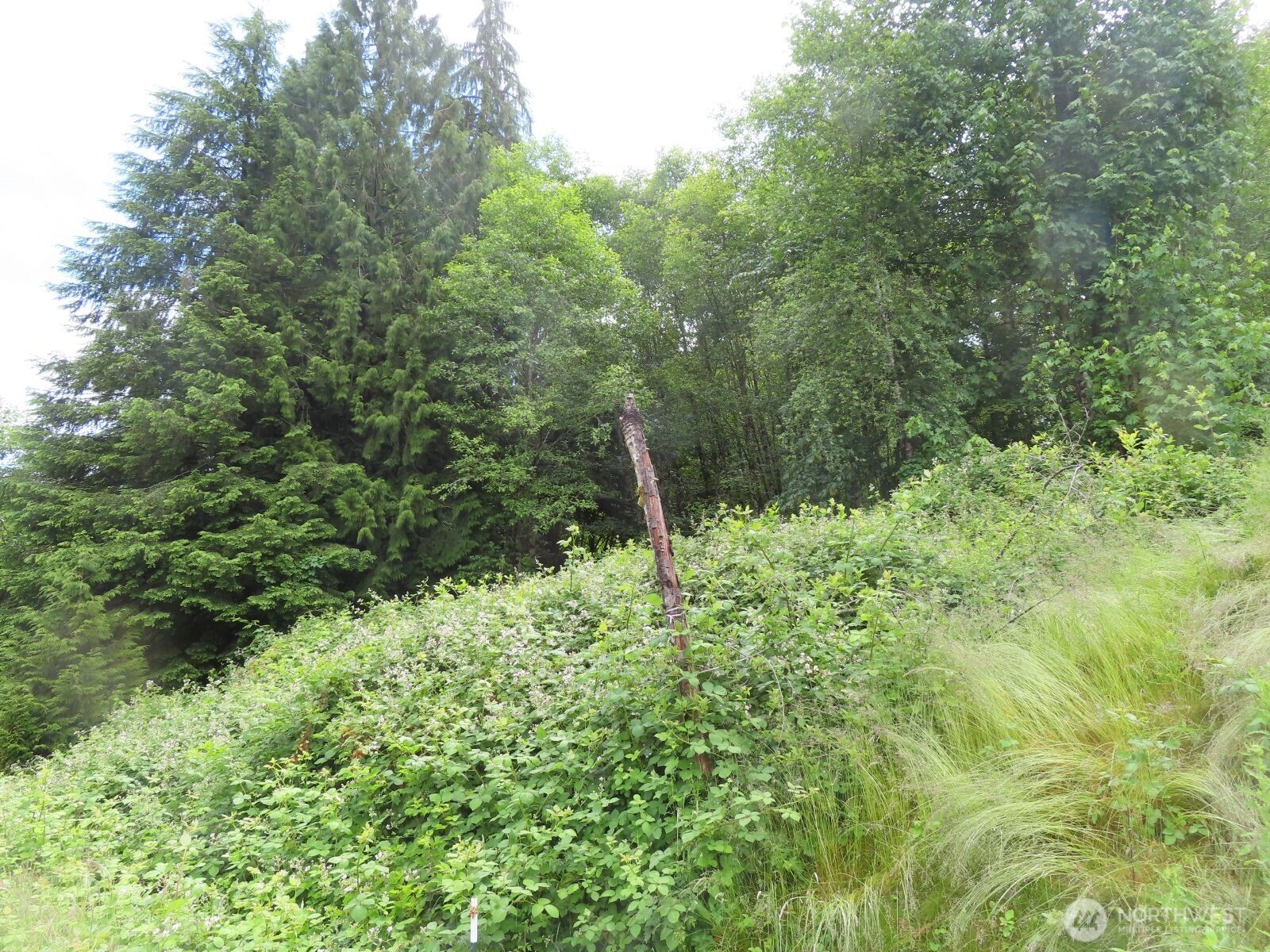 0 Xxx Sylvan Way Property Photo 10