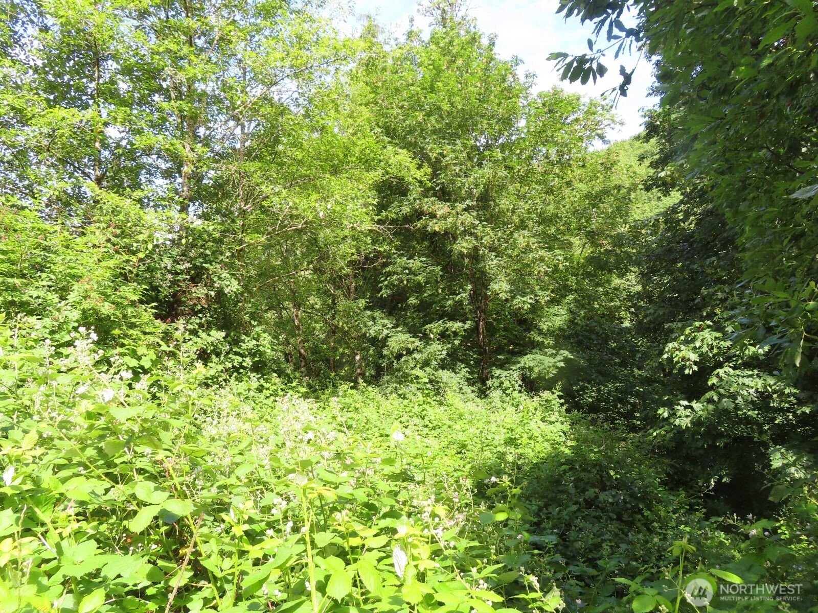 0 Xxx Sylvan Way Property Photo 11