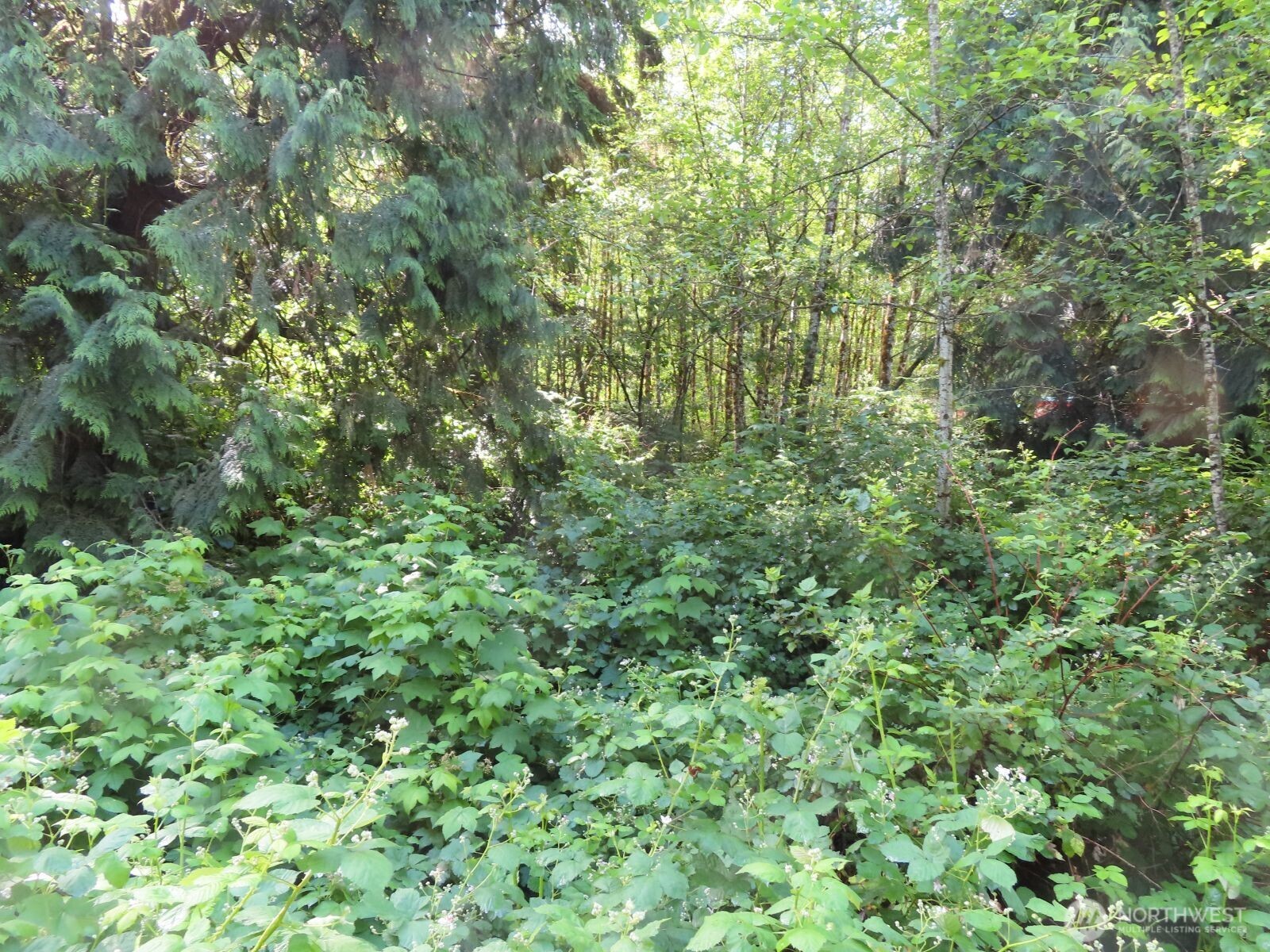 0 Xxx Sylvan Way Property Photo 12