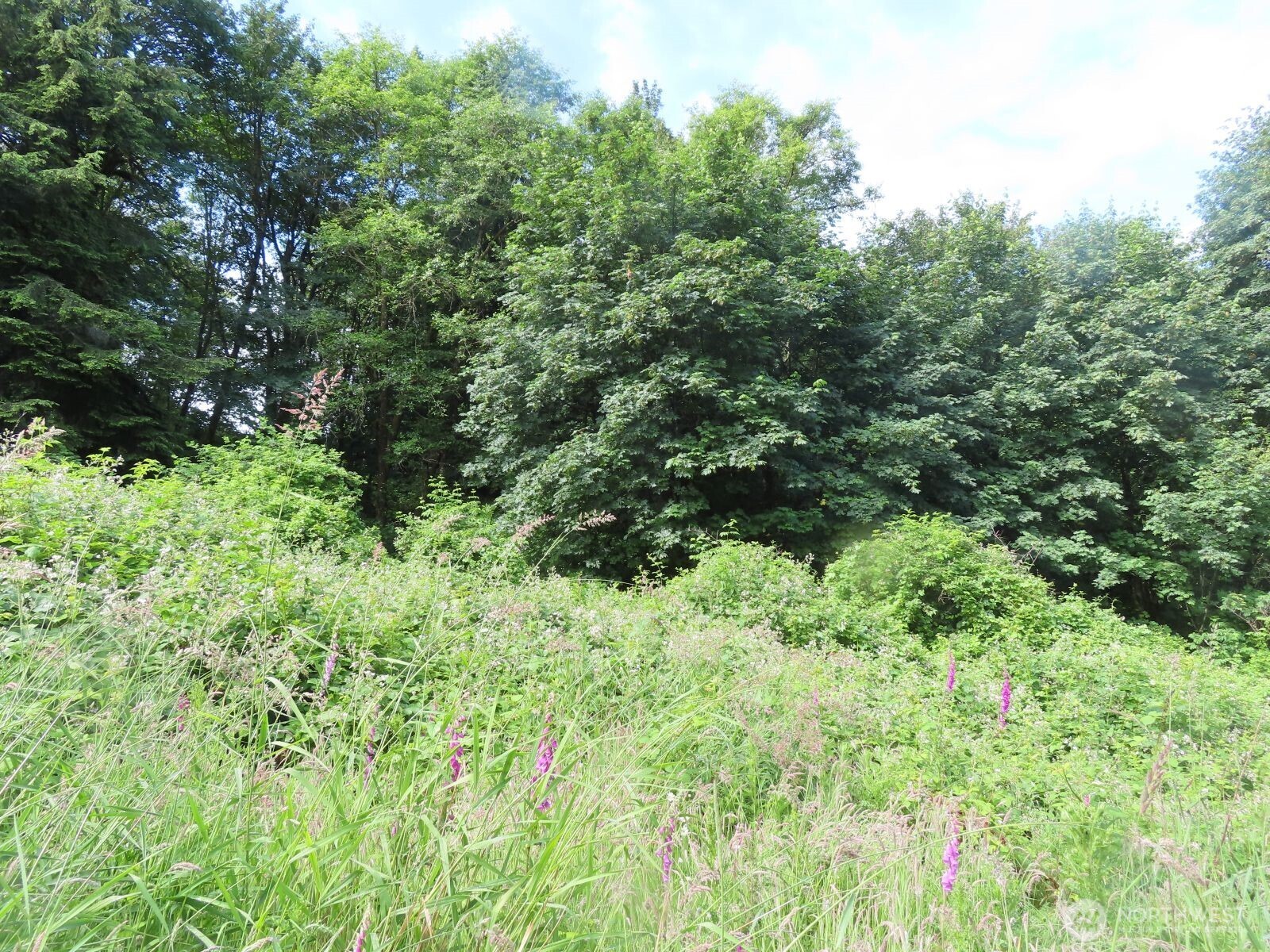 0 Xxx Sylvan Way Property Photo 13