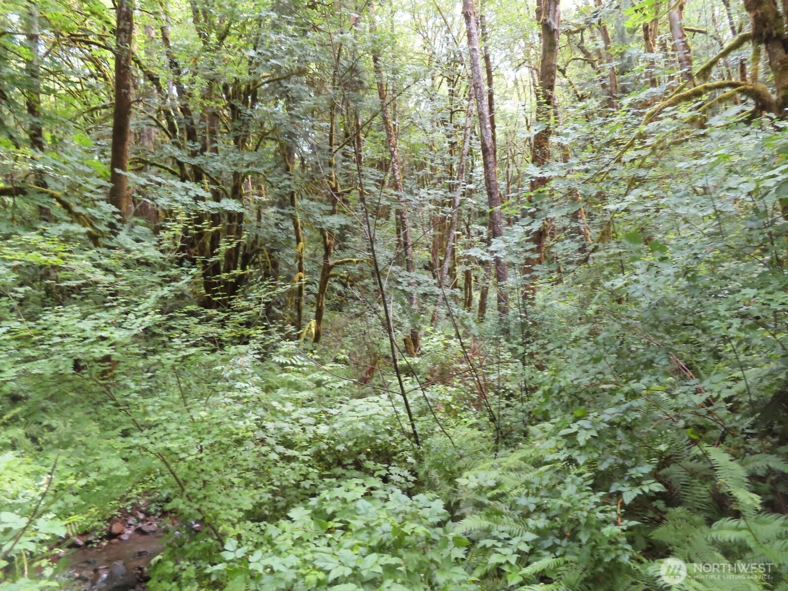 0 Xxx Sylvan Way Property Photo 14