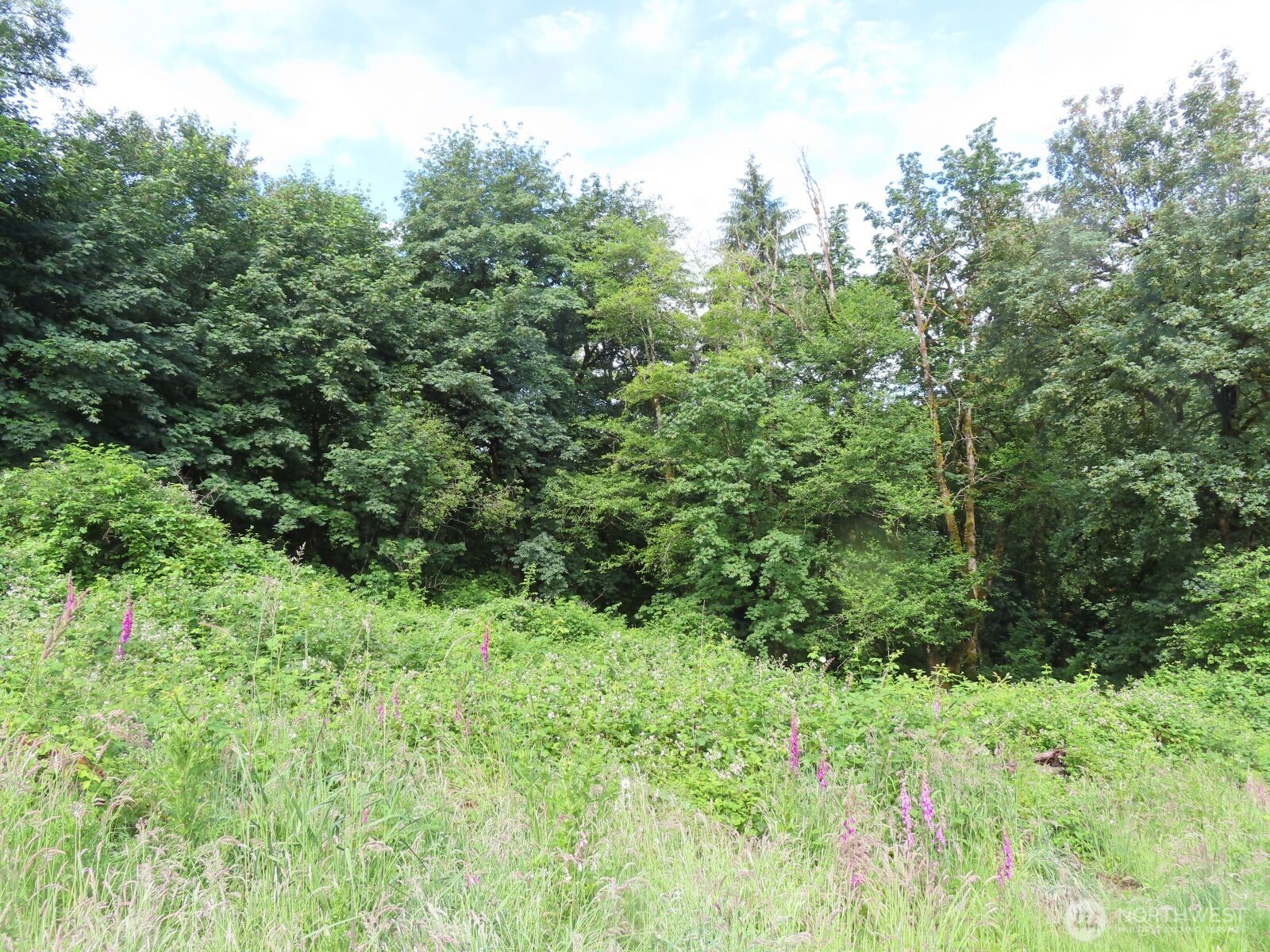 0 Xxx Sylvan Way Property Photo 15