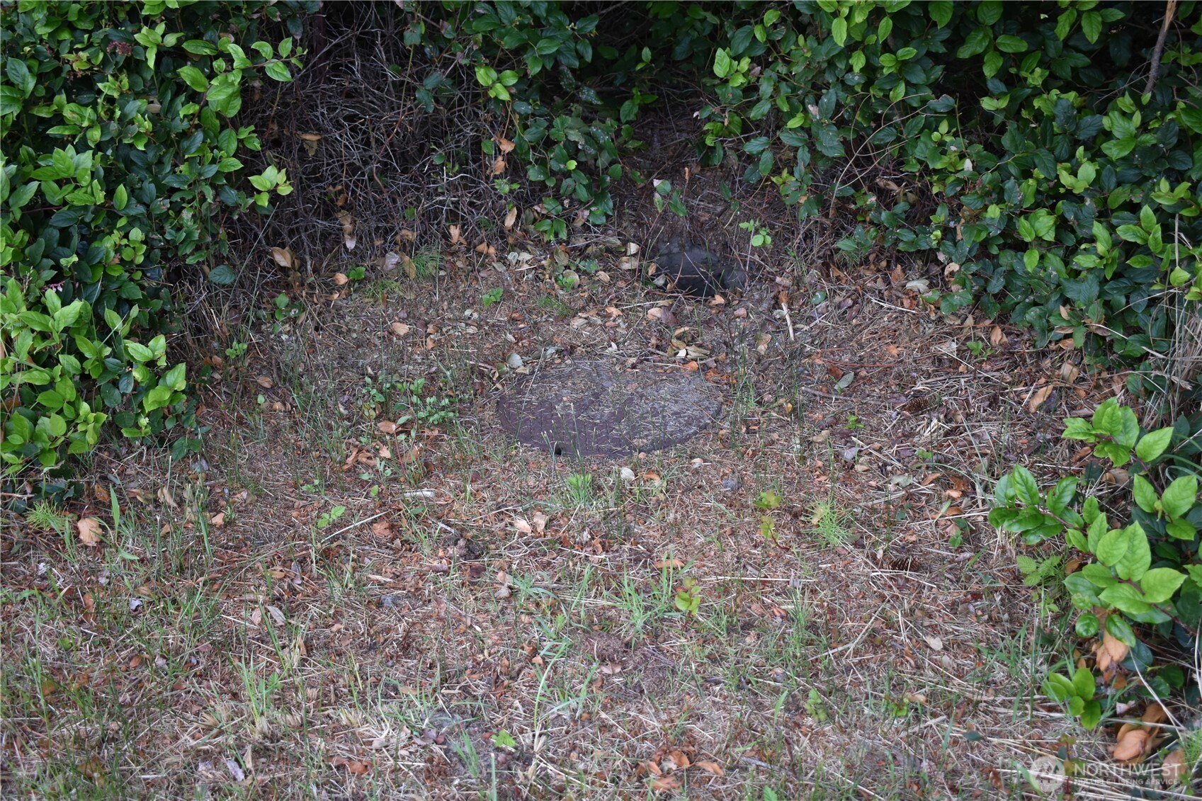 672 Island Circle Property Photo 2