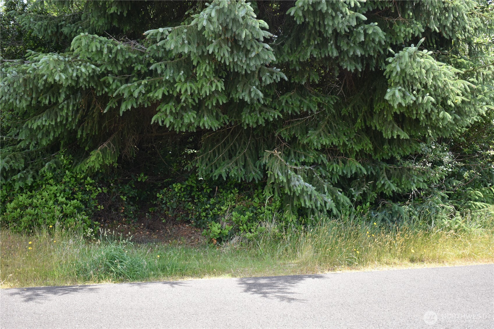 672 Island Circle Property Photo 10