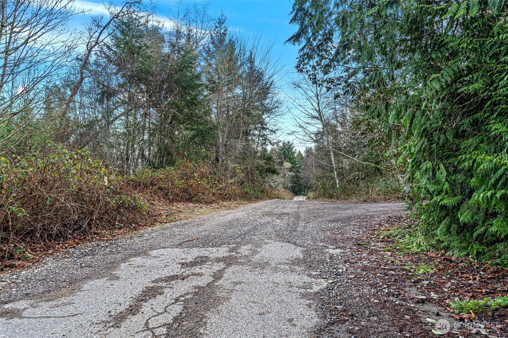 45 Whiteman Road Property Photo 6