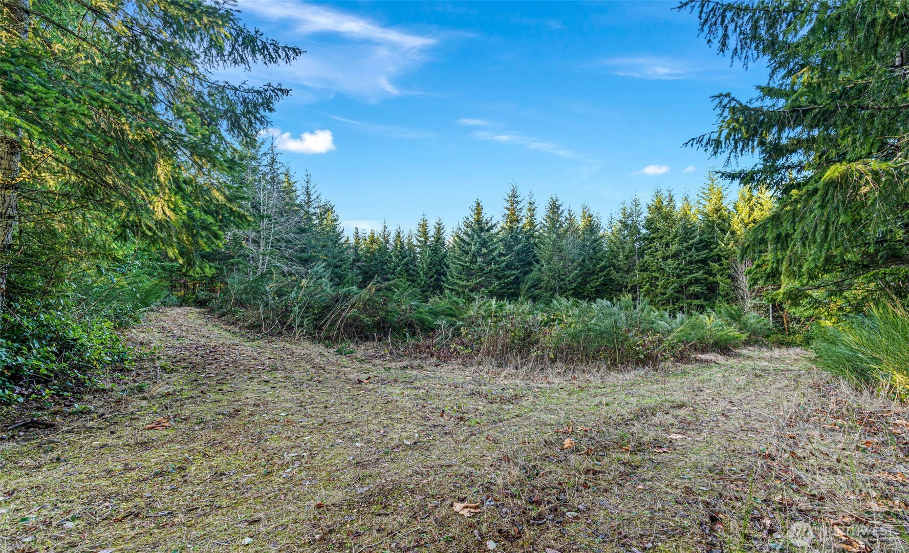 45 Whiteman Road Property Photo 7