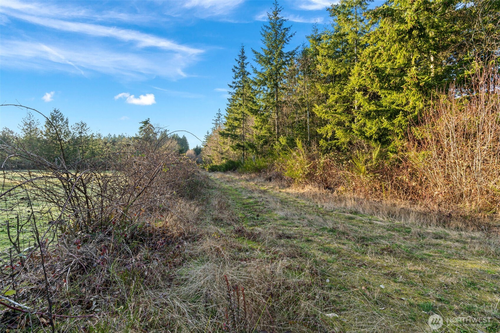 45 Whiteman Road Property Photo 8