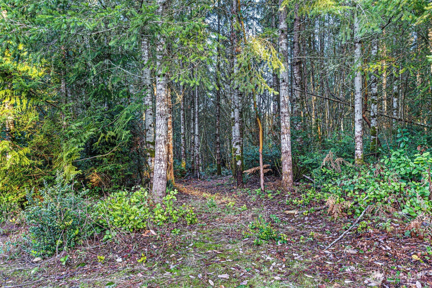 45 Whiteman Road Property Photo 10