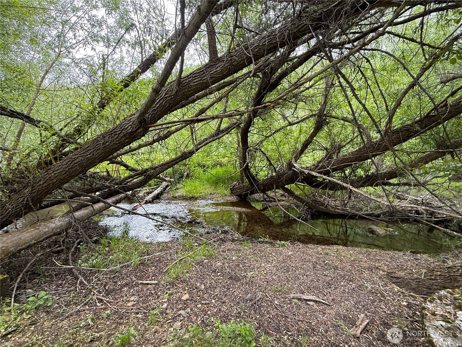 1742 Toroda Creek Road Property Photo 3