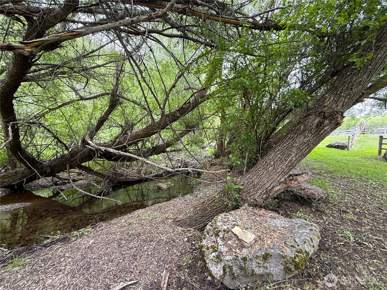 1742 Toroda Creek Road Property Photo 4