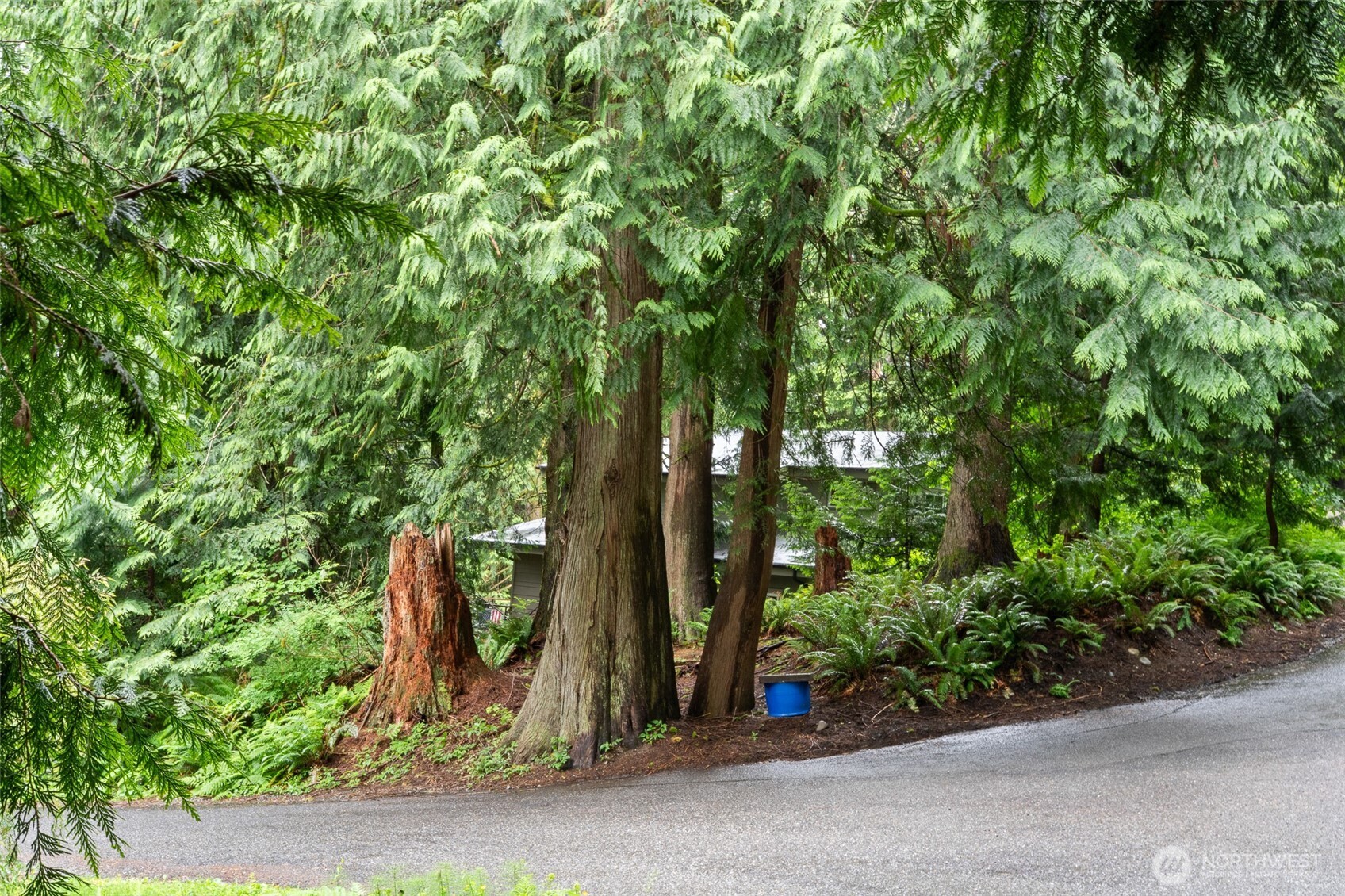 0 Sumerset Way Property Photo 5