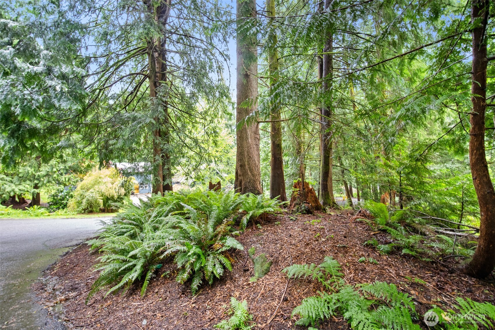 0 Sumerset Way Property Photo 8