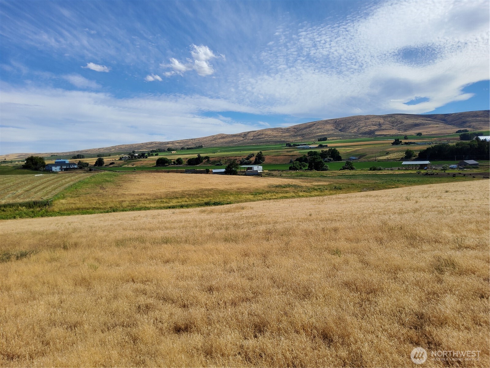 401 Morrison Road Property Photo 8