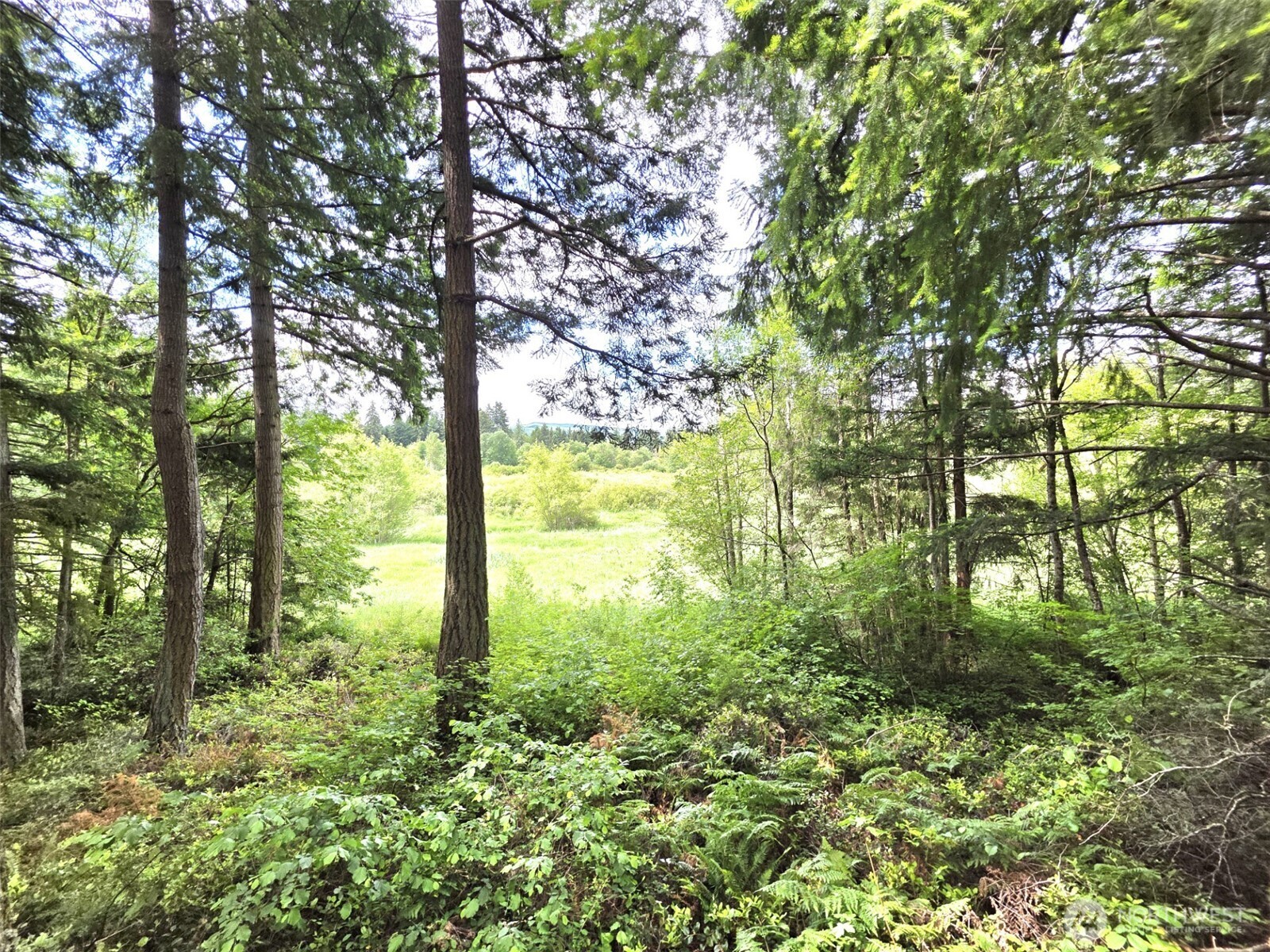 17743 Clear Lake Boulevard Property Photo 25