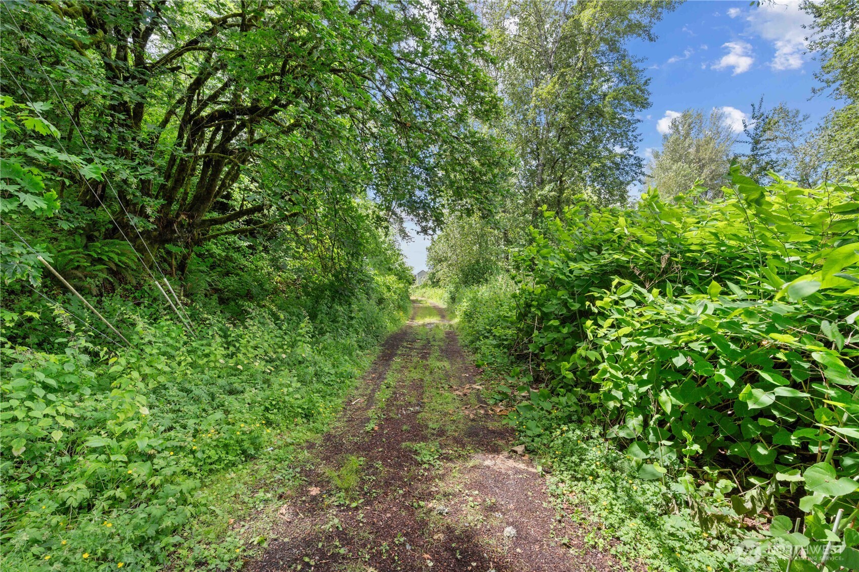 3304 E Pioneer Property Photo 11