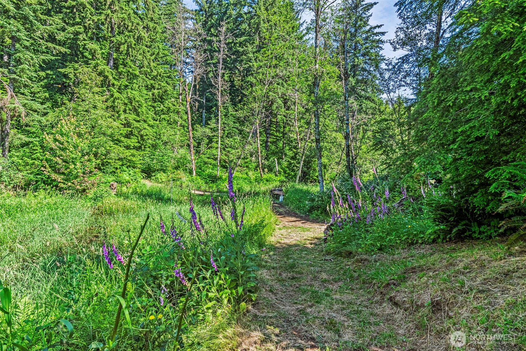 136 Longhorn Road Property Photo 29