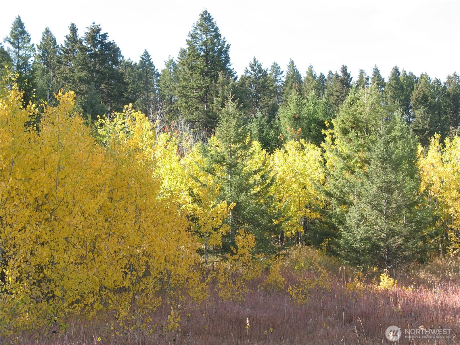 40 E Turner Homestead Road Property Photo 14