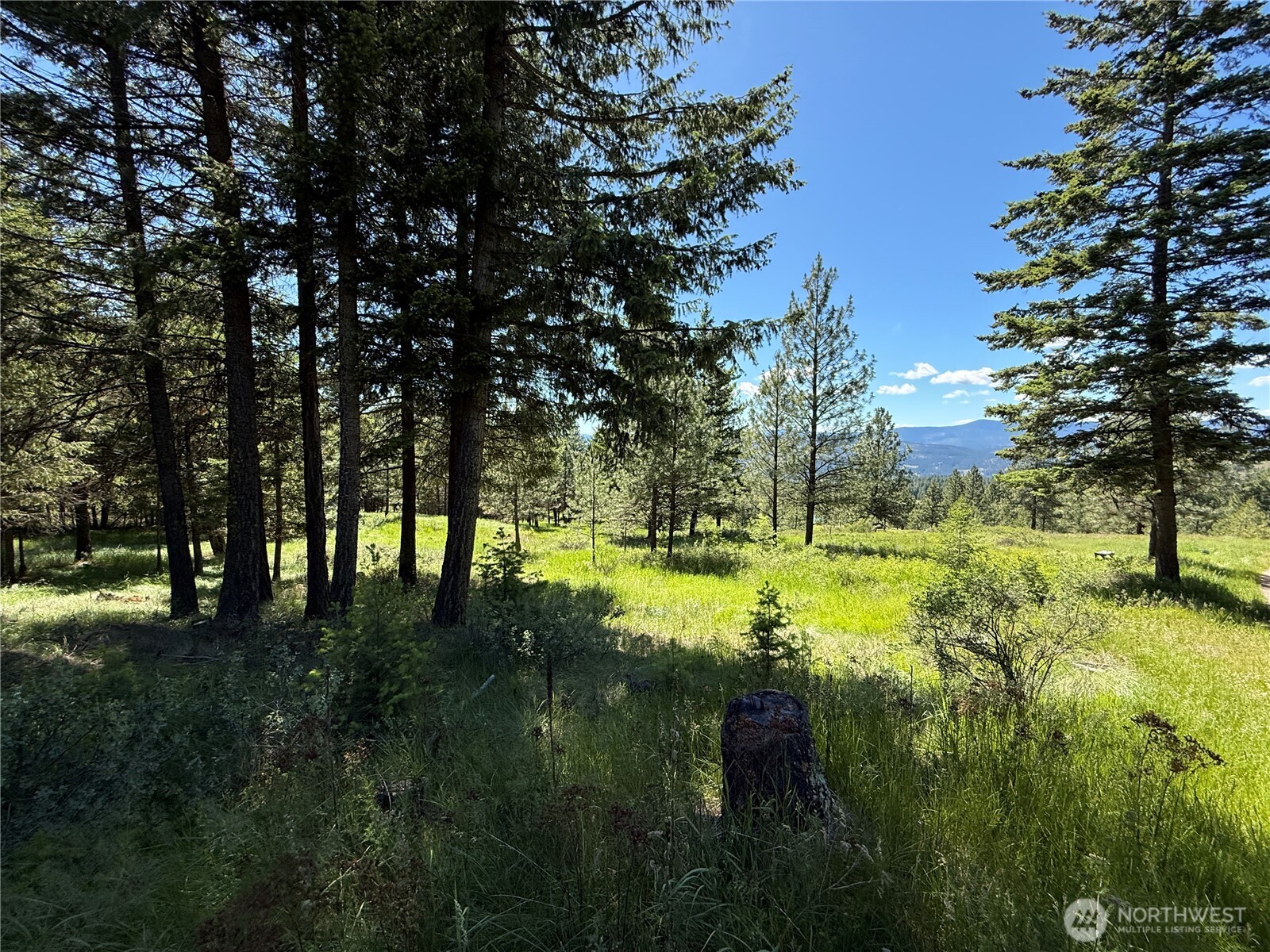 5 Hidden Spring Ranch Road Property Photo 1