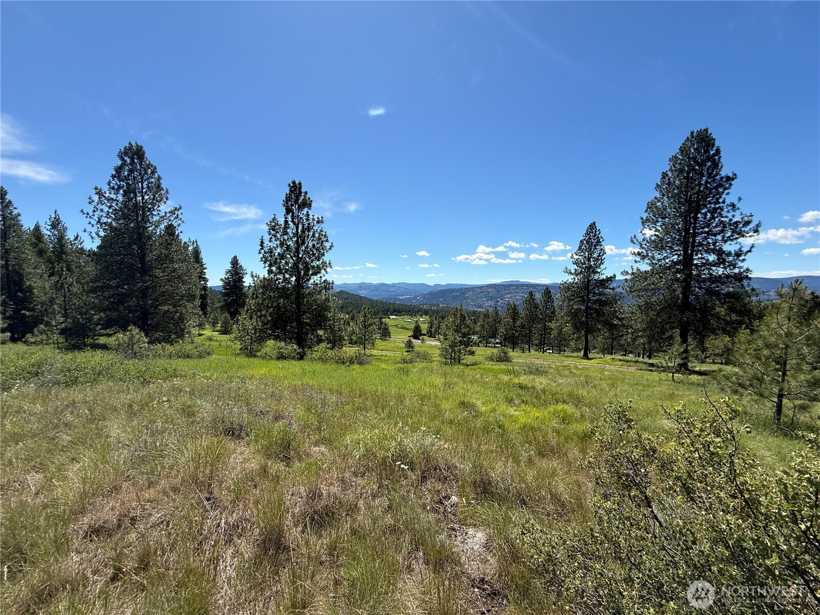 5 Hidden Spring Ranch Road Property Photo 3