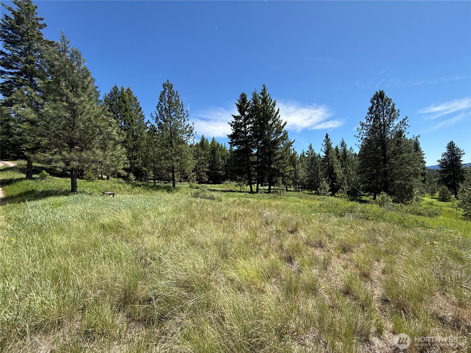 5 Hidden Spring Ranch Road Property Photo 15