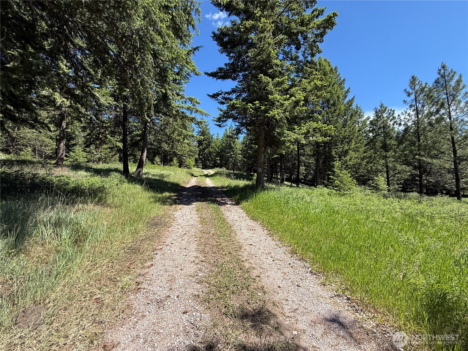 5 Hidden Spring Ranch Road Property Photo 16