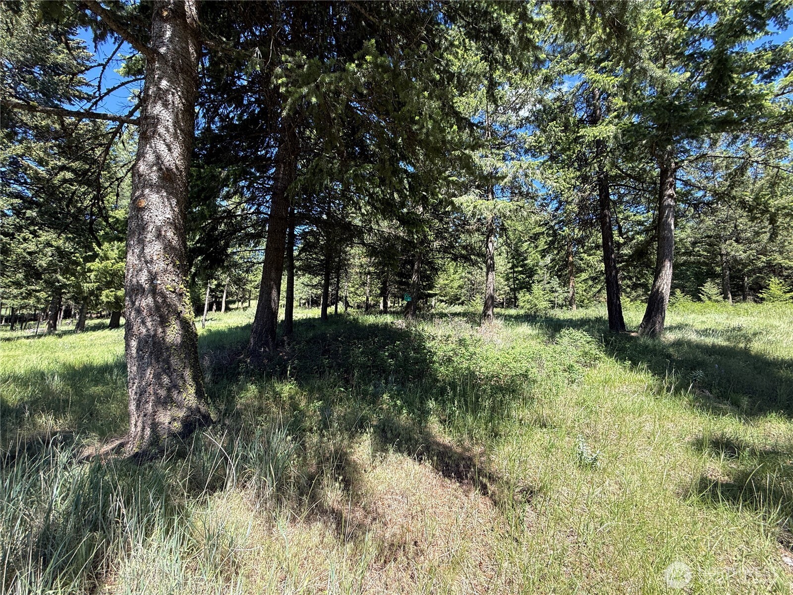 5 Hidden Spring Ranch Road Property Photo 17