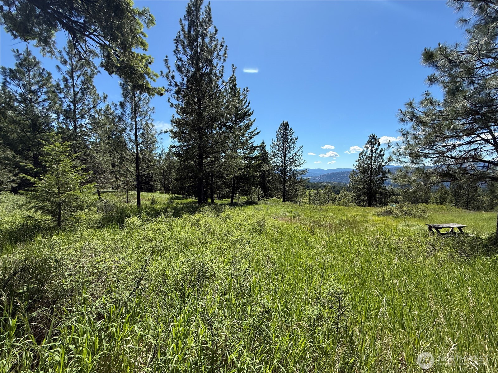 5 Hidden Spring Ranch Road Property Photo 18