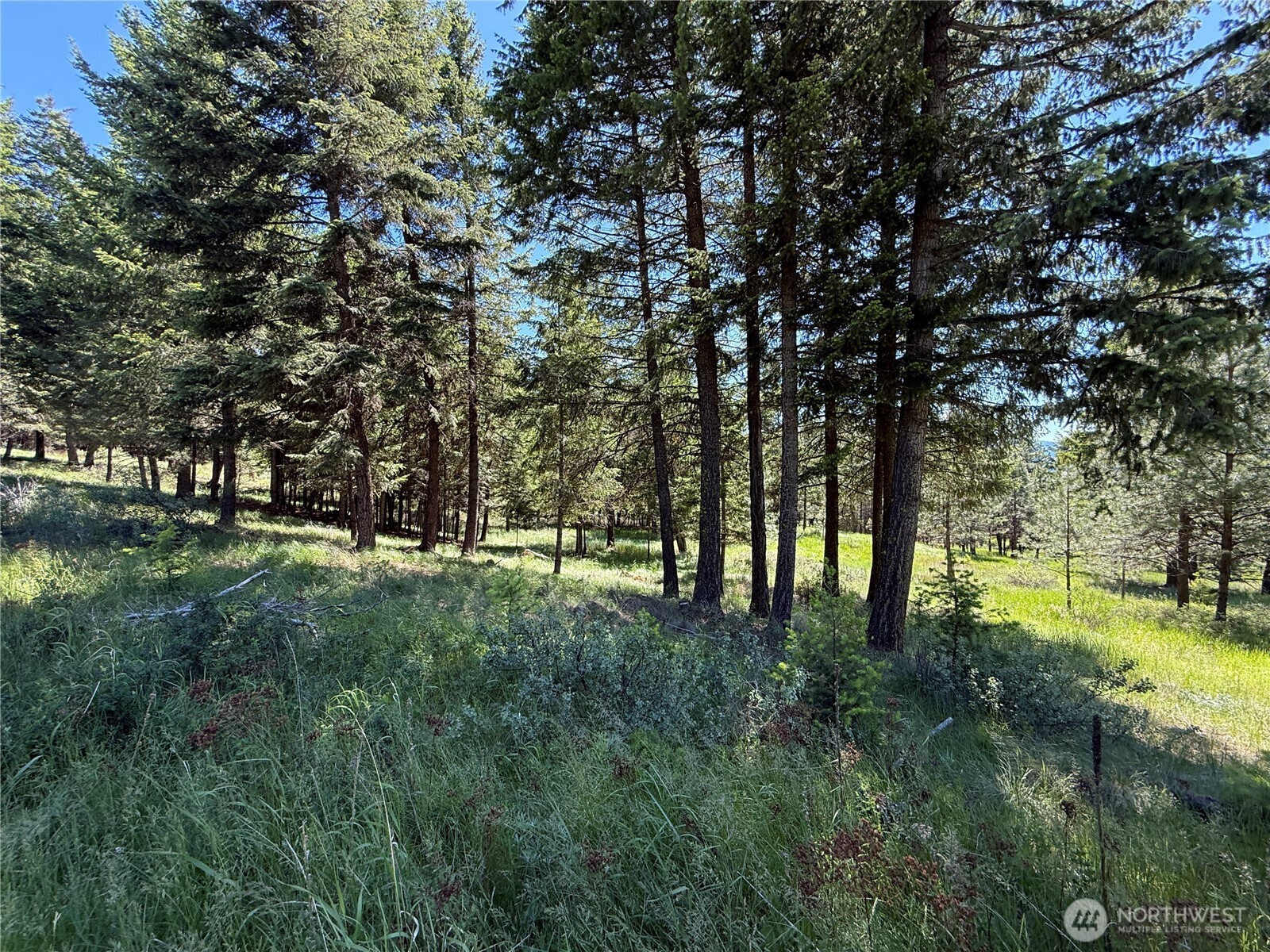 5 Hidden Spring Ranch Road Property Photo 19