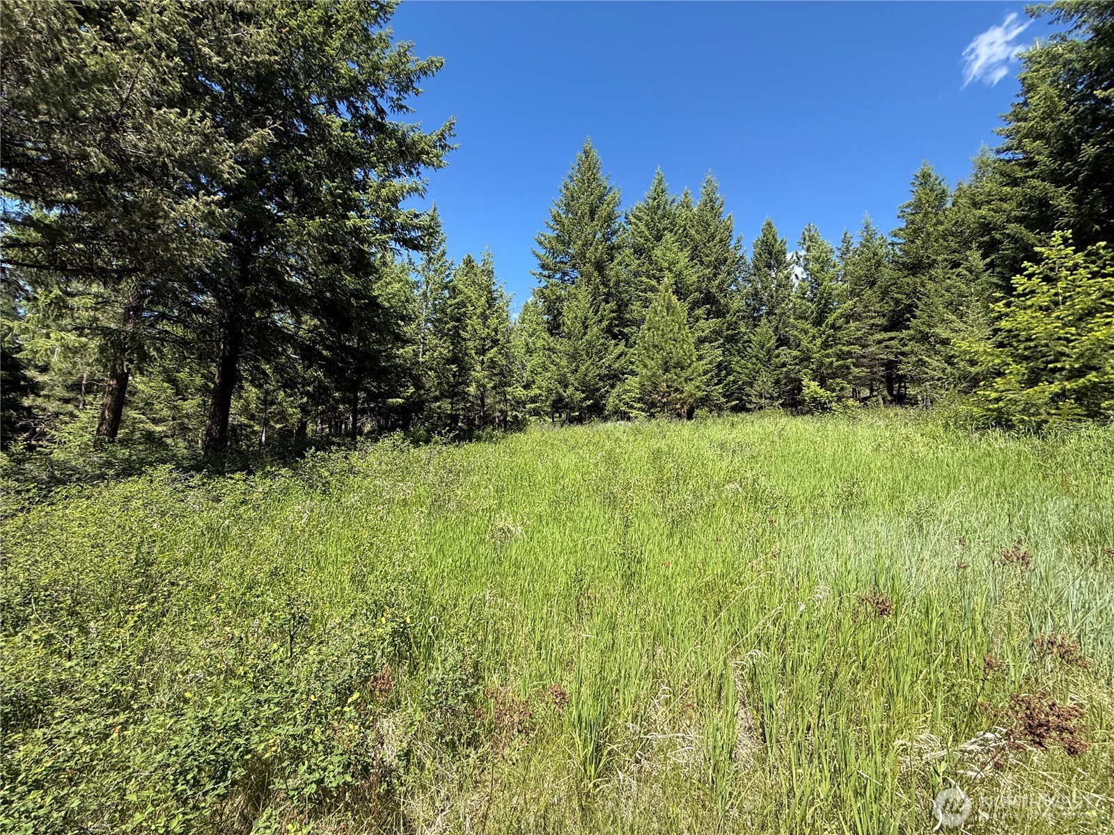 5 Hidden Spring Ranch Road Property Photo 20
