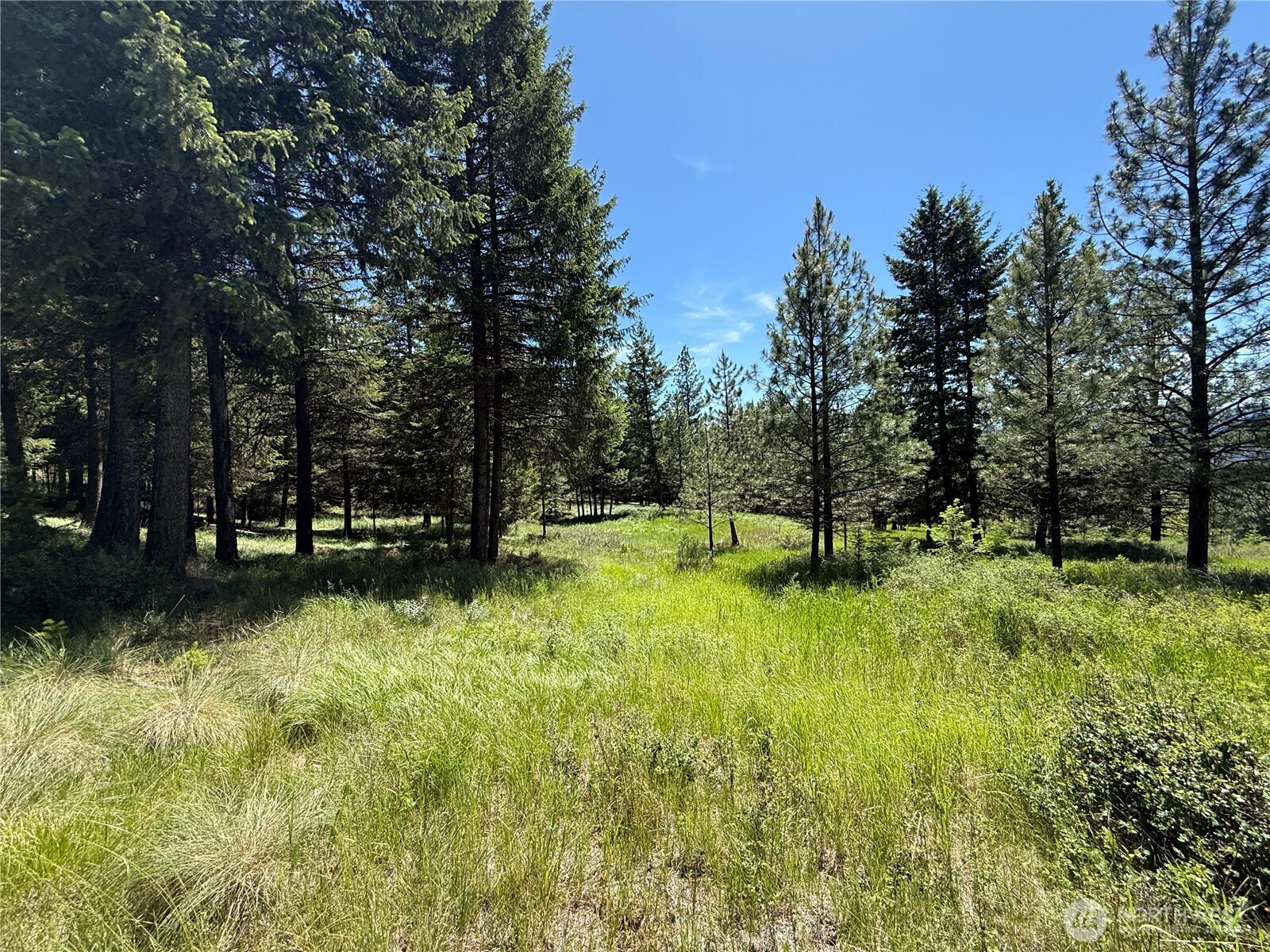 5 Hidden Spring Ranch Road Property Photo 21