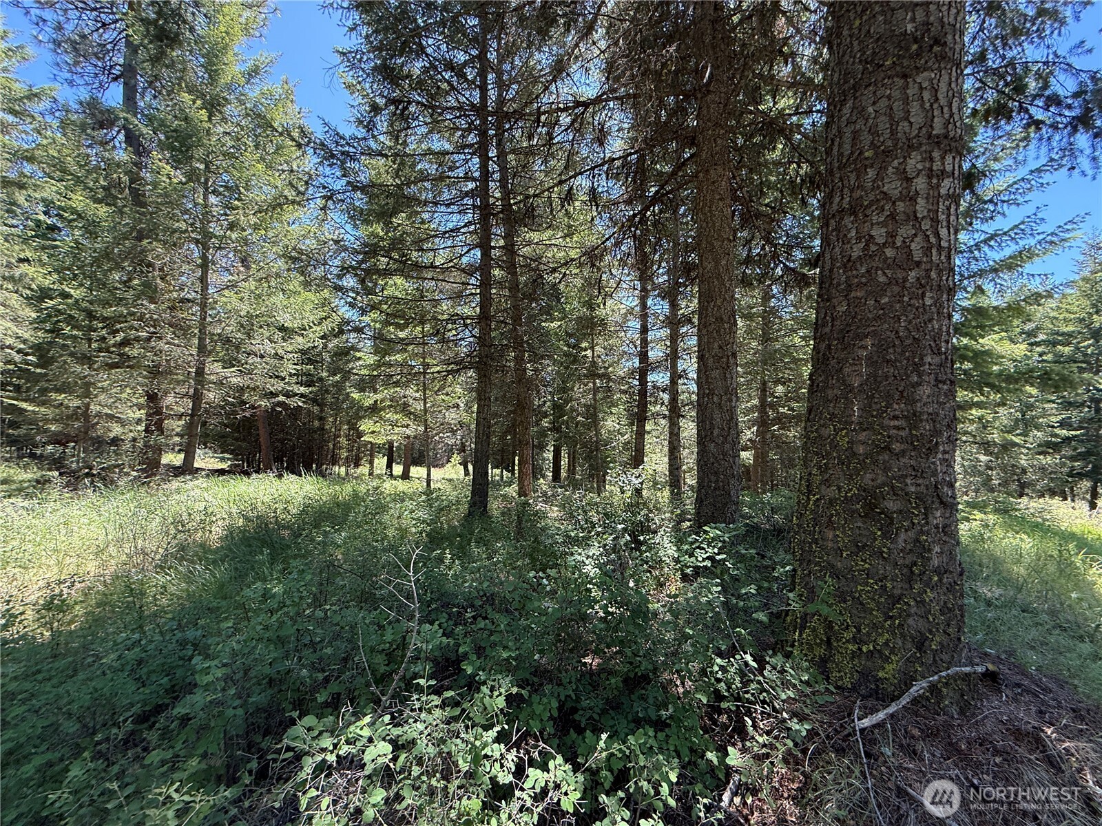 5 Hidden Spring Ranch Road Property Photo 22