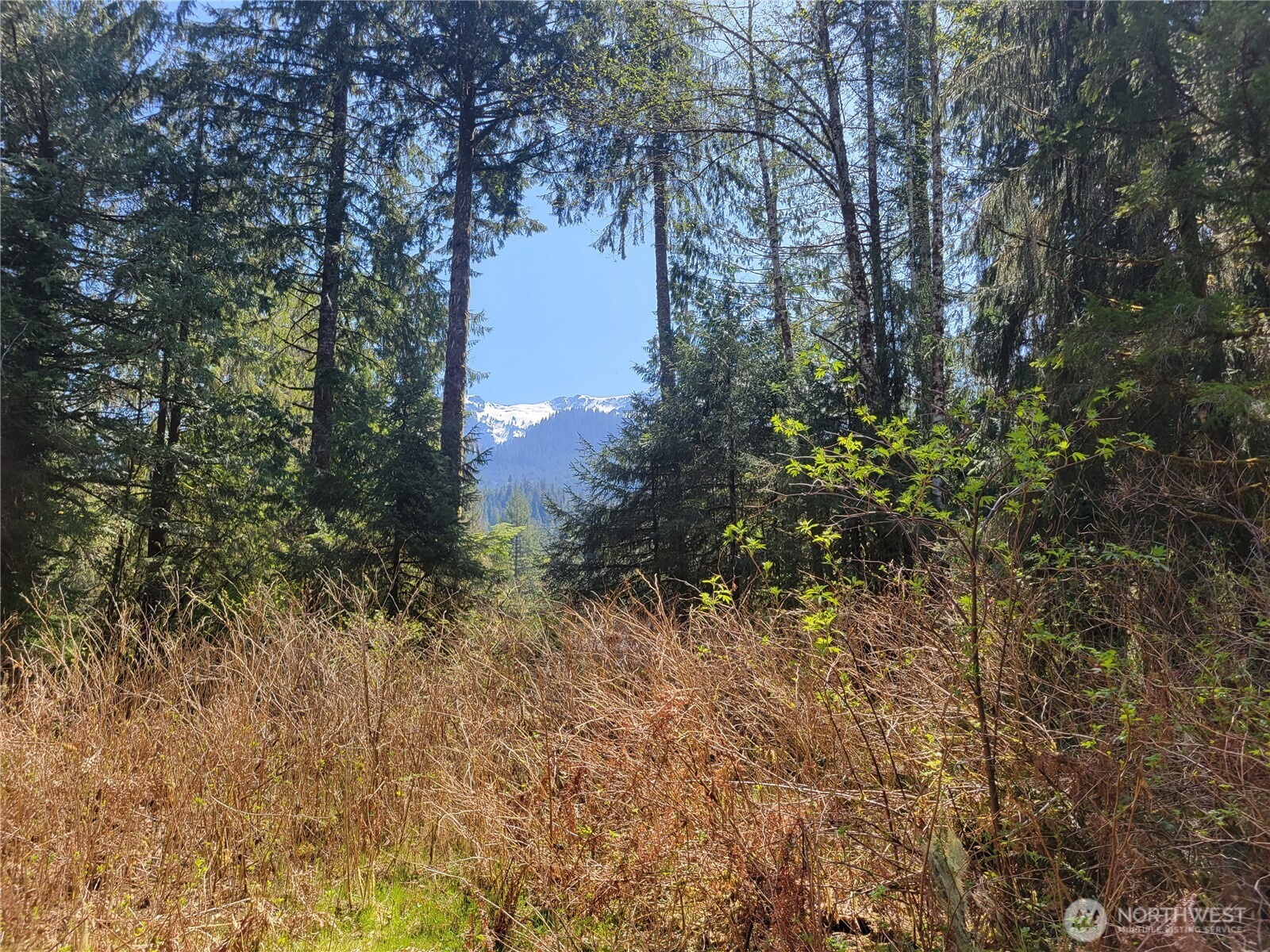 0 Xxx Mtn Loop Highway Property Photo 1