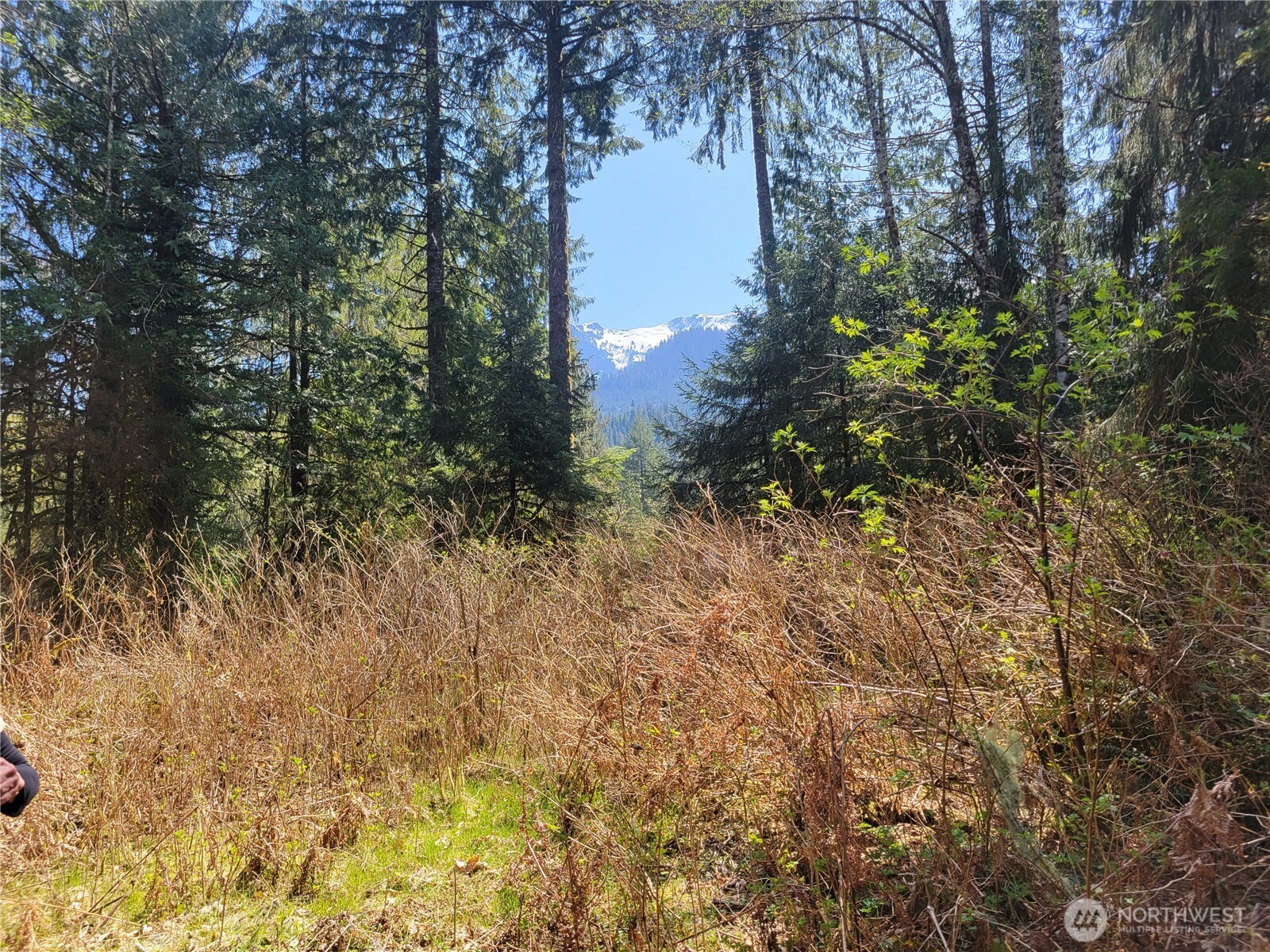 0 Xxx Mtn Loop Highway Property Photo 2