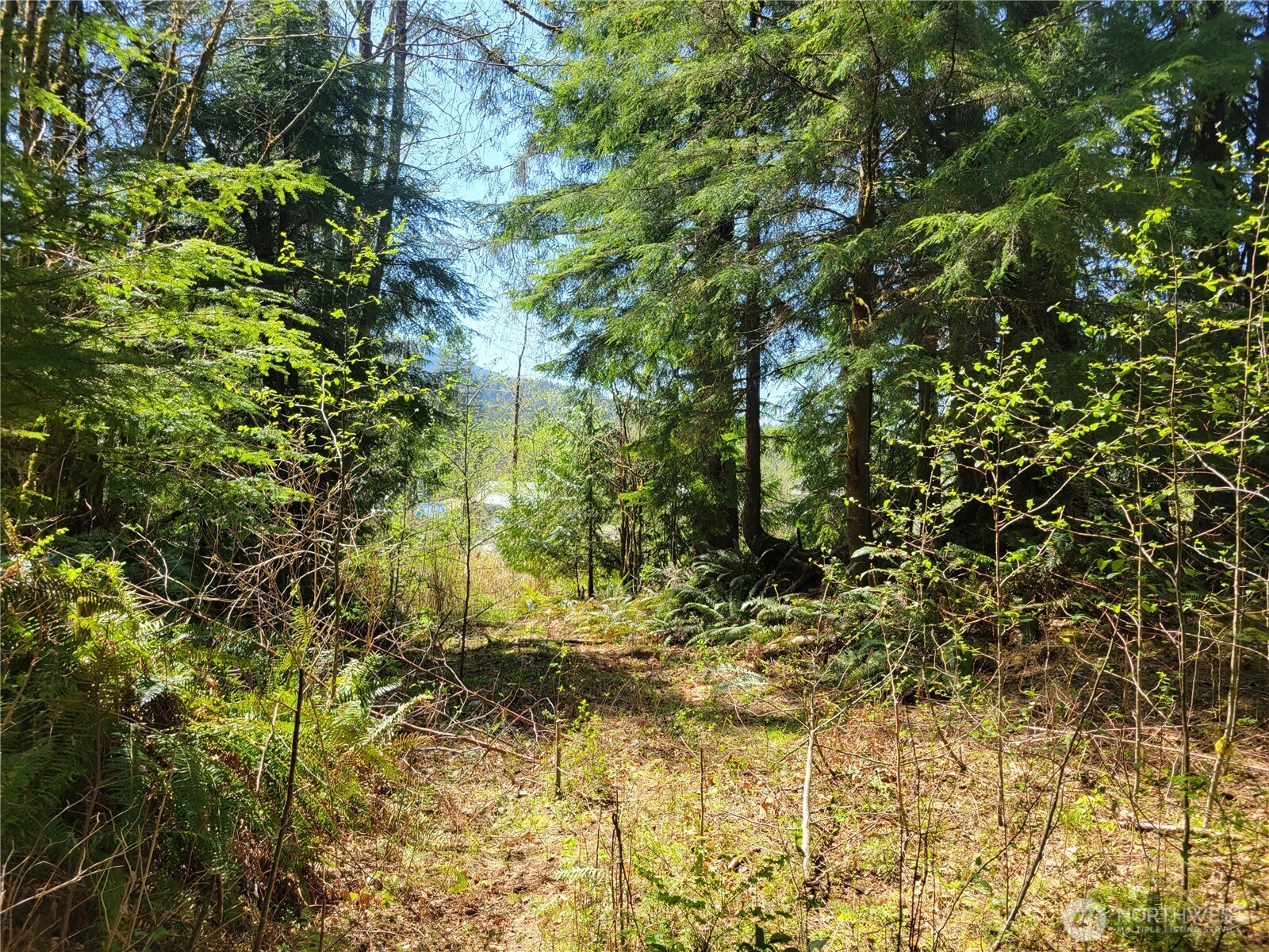 0 Xxx Mtn Loop Highway Property Photo 5