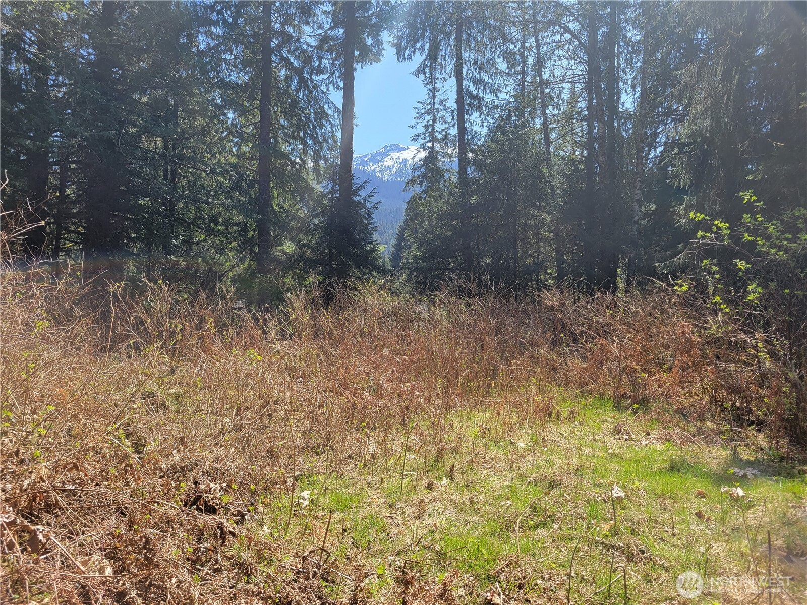 0 Xxx Mtn Loop Highway Property Photo 6