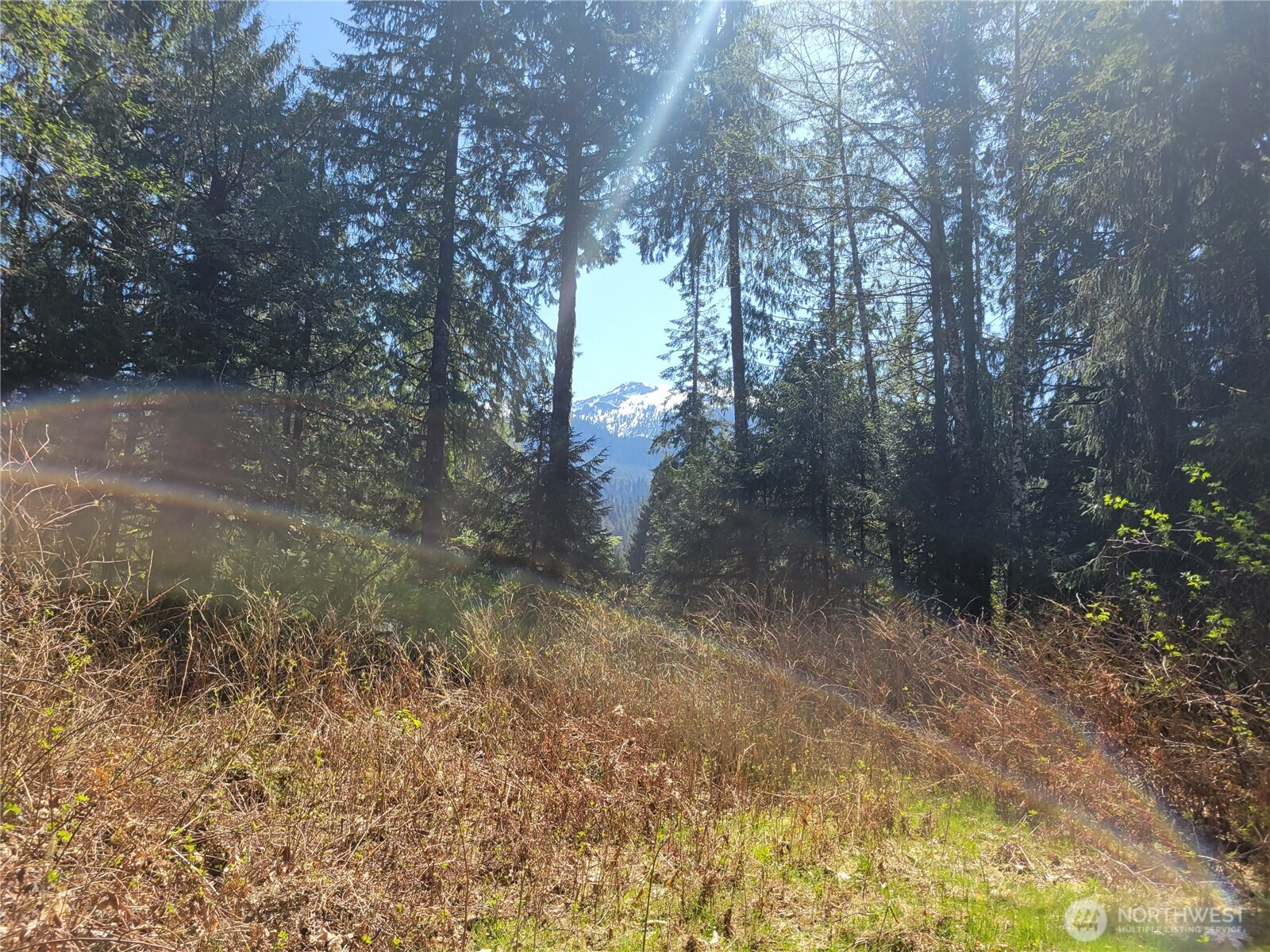 0 Xxx Mtn Loop Highway Property Photo 7