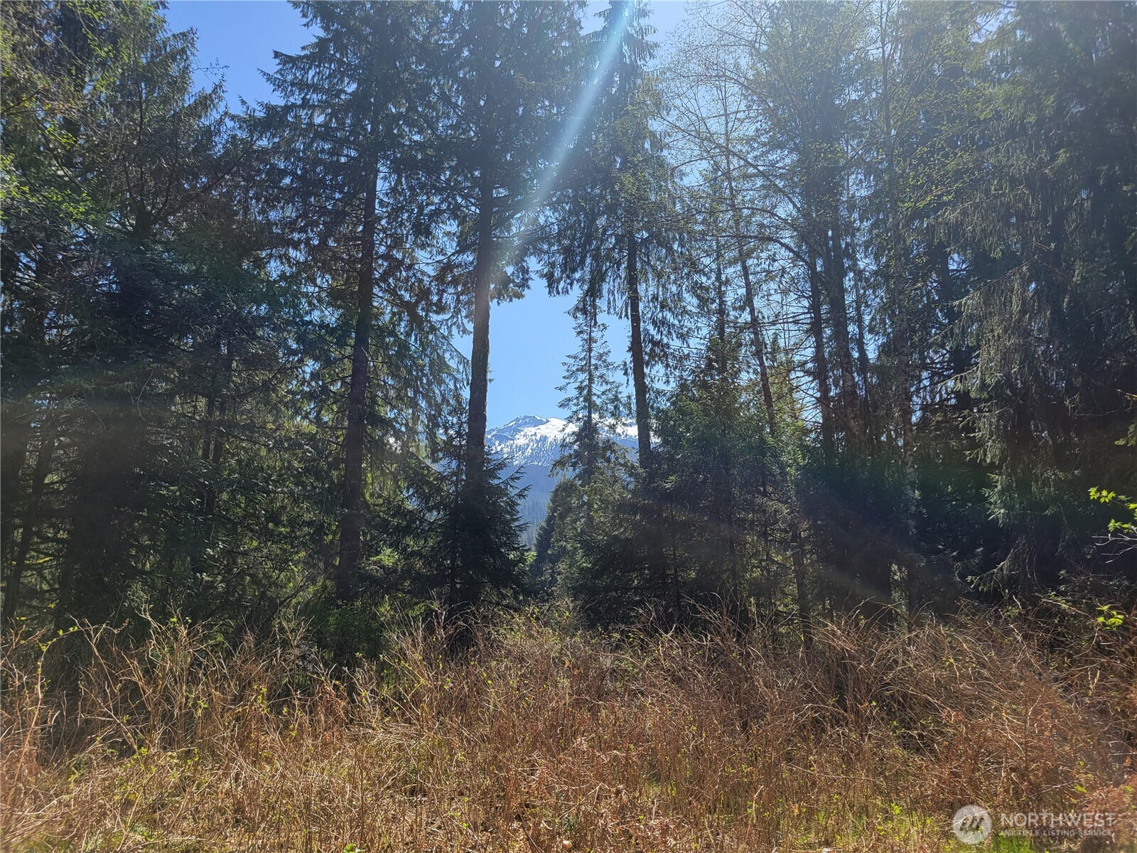 0 Xxx Mtn Loop Highway Property Photo 8