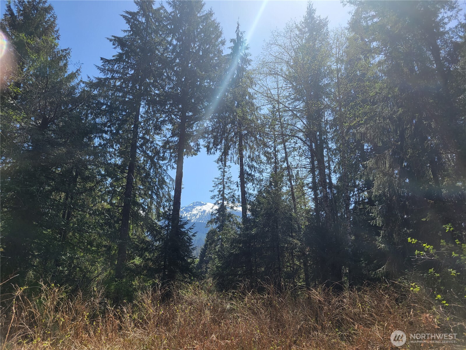 0 Xxx Mtn Loop Highway Property Photo 9