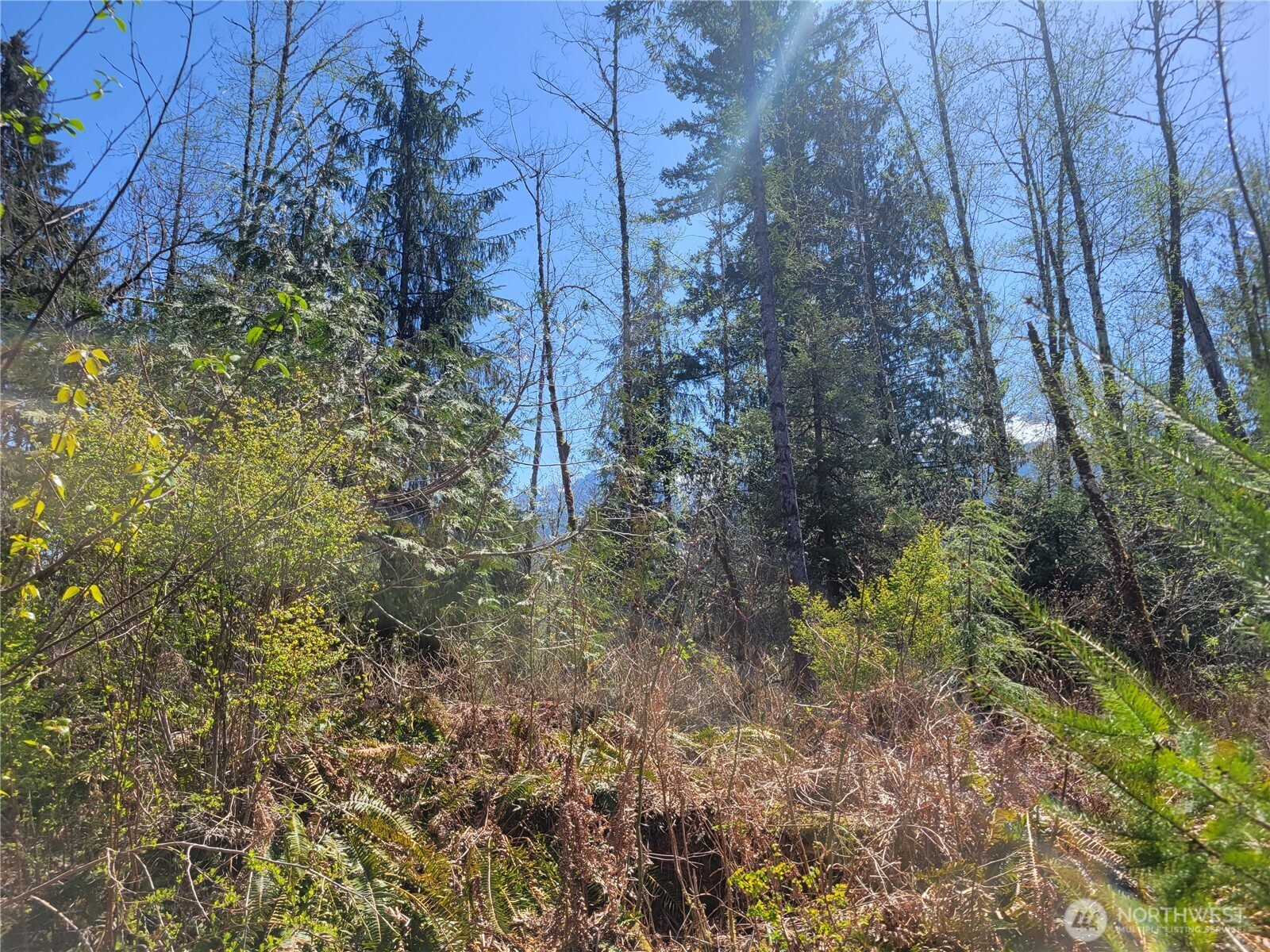 0 Xxx Mtn Loop Highway Property Photo 10