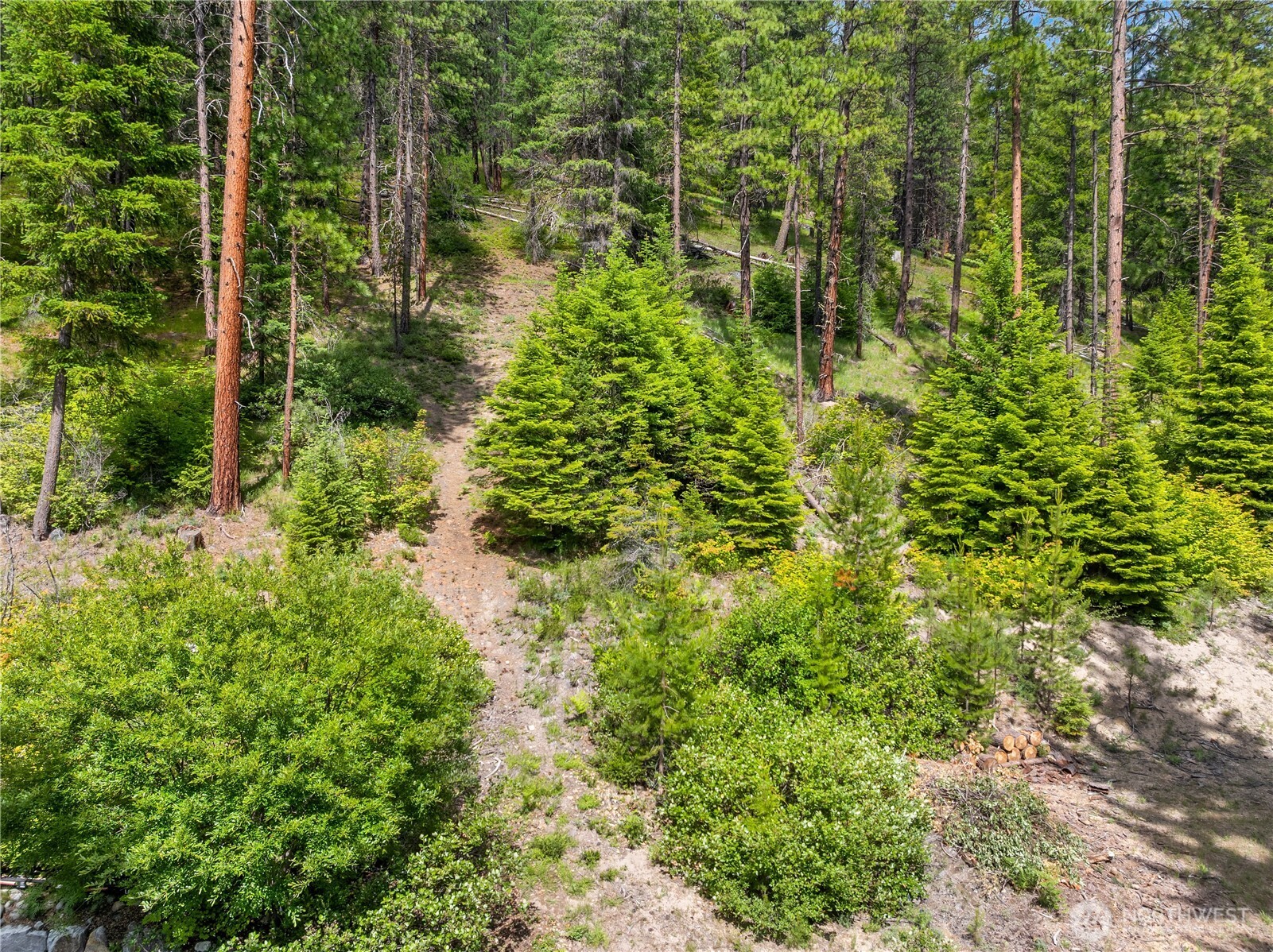 21005 Lower Chiwawa River Road Property Photo 27
