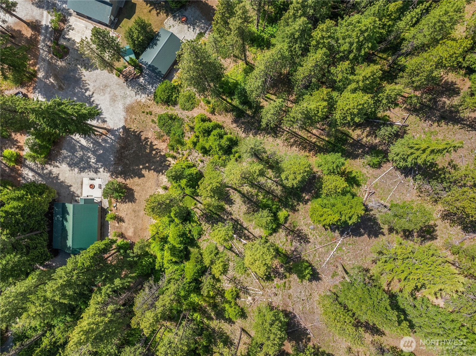21005 Lower Chiwawa River Road Property Photo 28