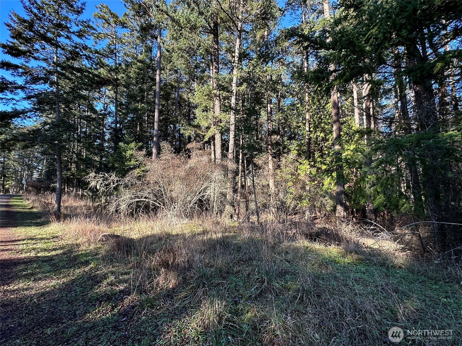 206 Island Drive Property Photo 4