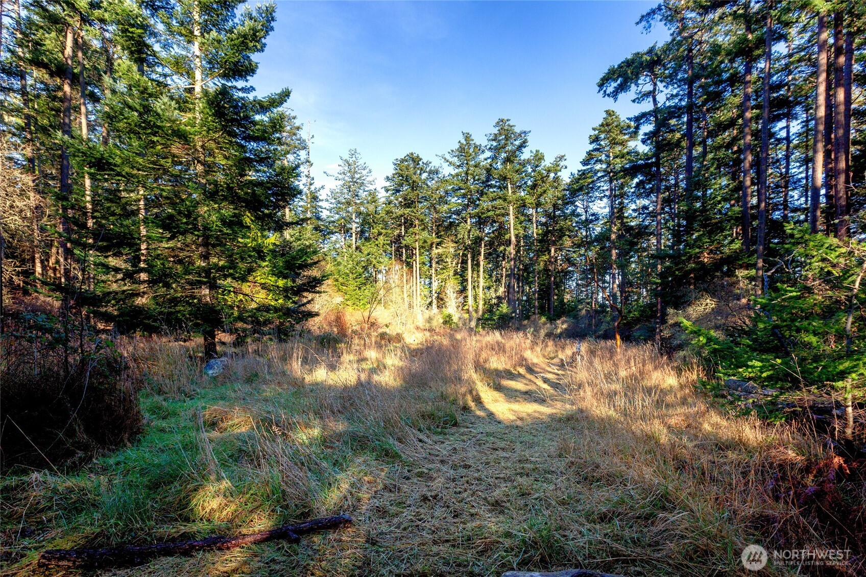 206 Island Drive Property Photo 16
